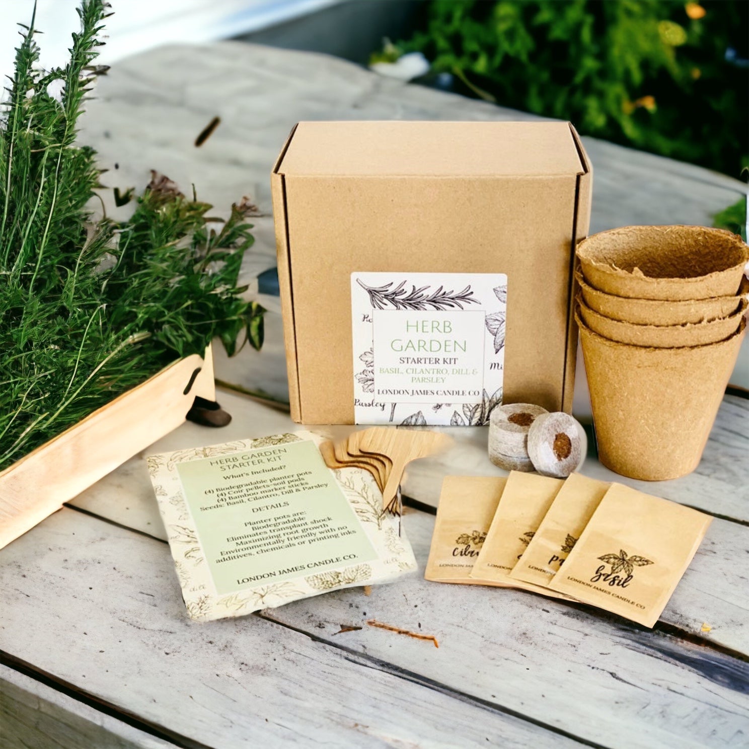 The Herbal Starter Kit – start using herbs today!