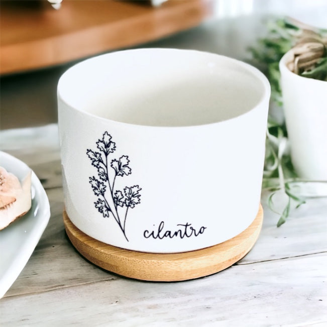 Cilantro Ceramic Herb Garden Pot