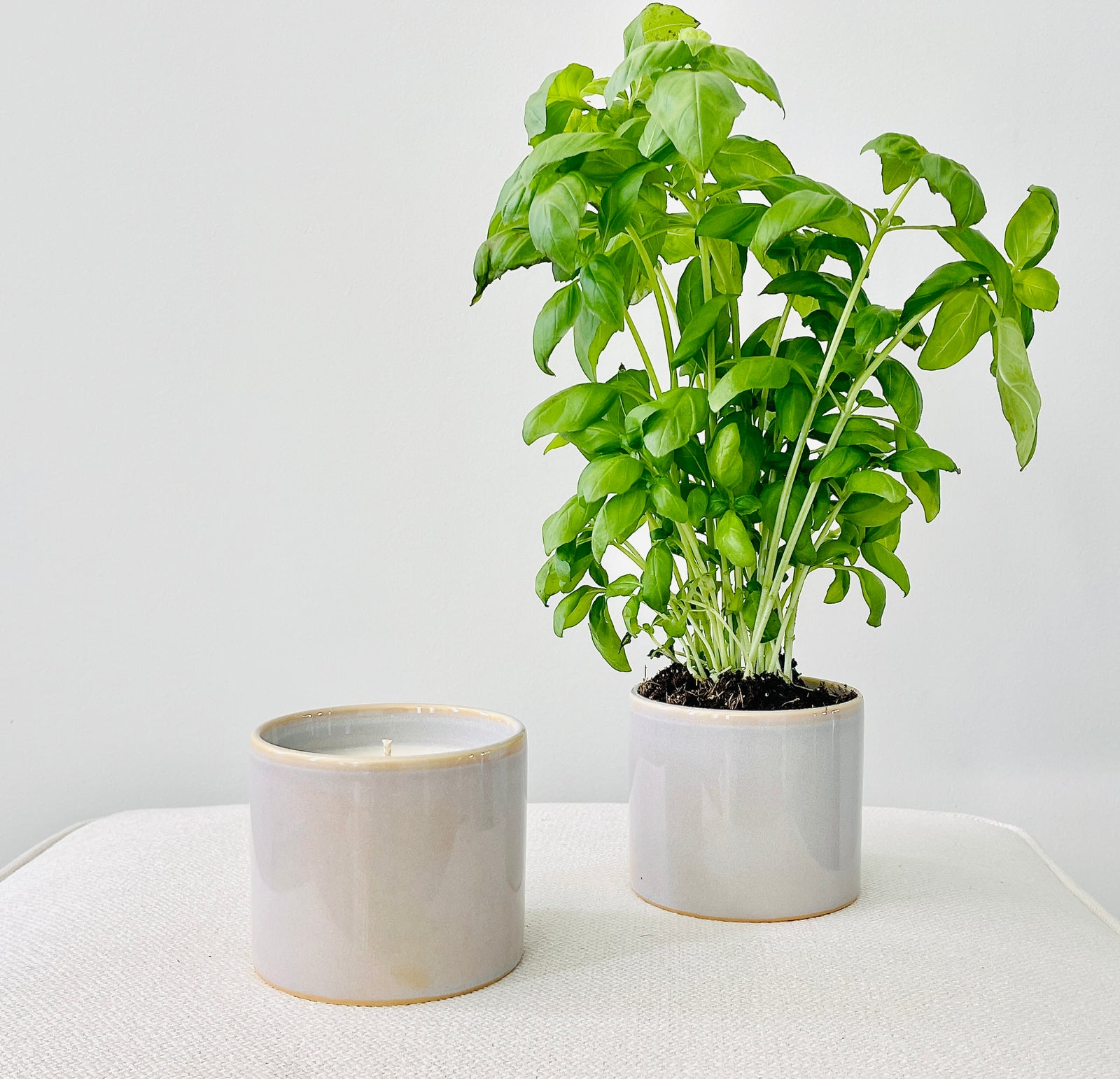 Glow Up & Grow Candle Making Kit