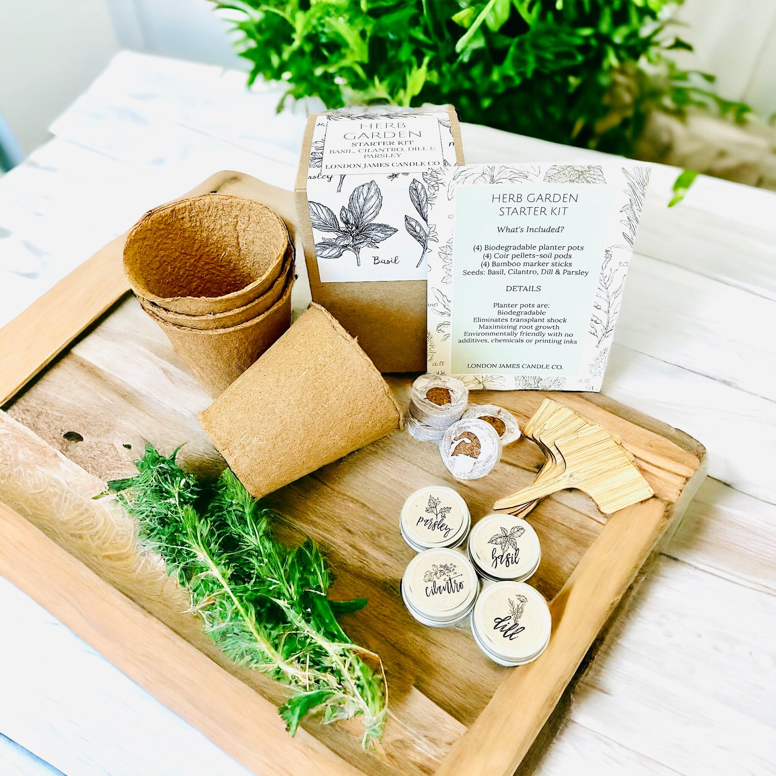 Herb Garden Kit