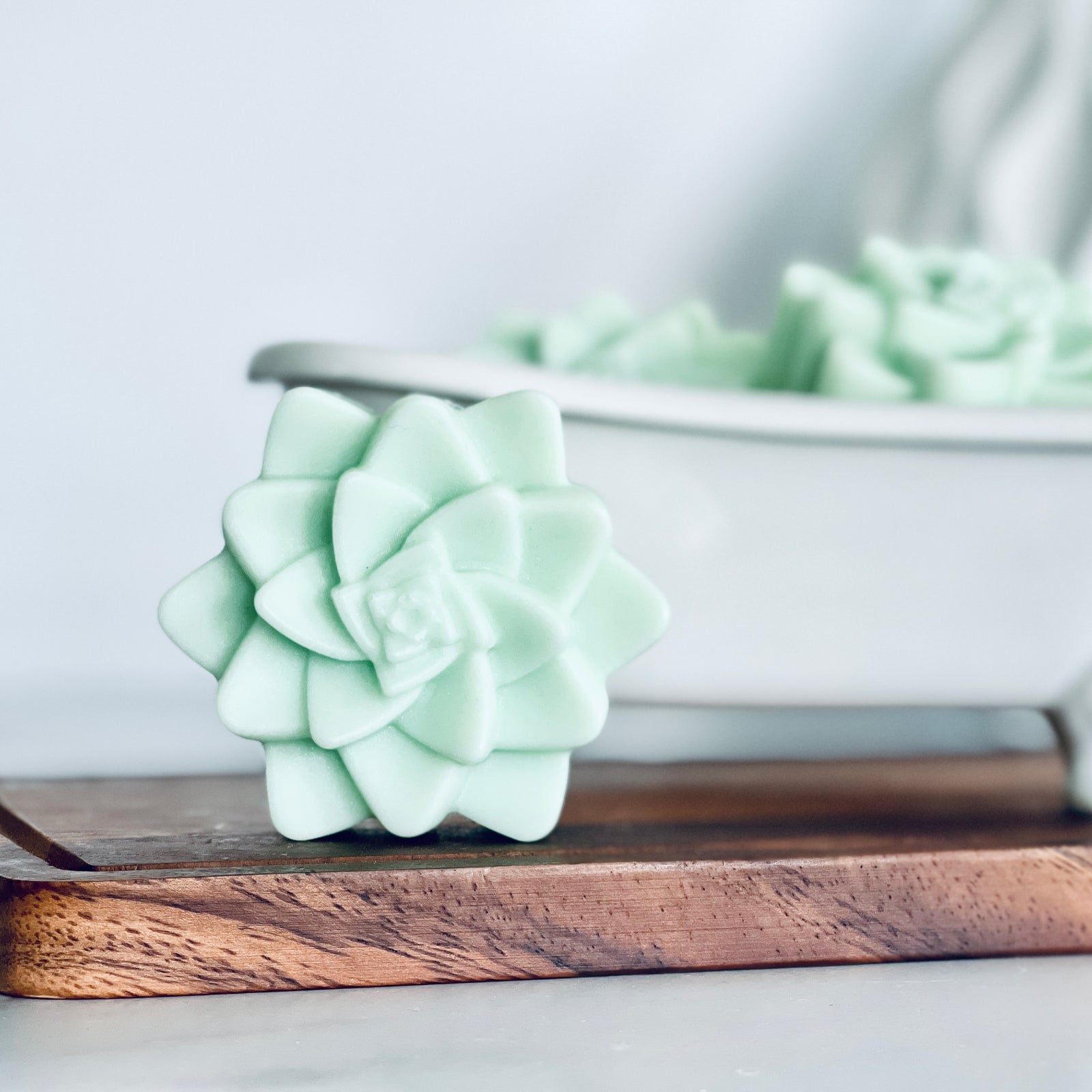 Cactus Flower Succulent Goat Milk Soap w/Soap Bag